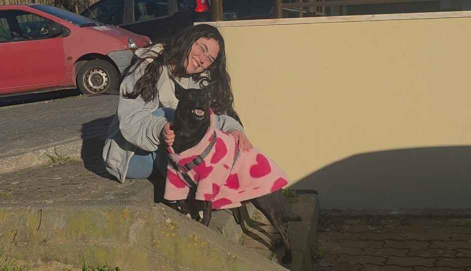 Isabella Moreno - Vila Franca de Xira - Garde de chiens
