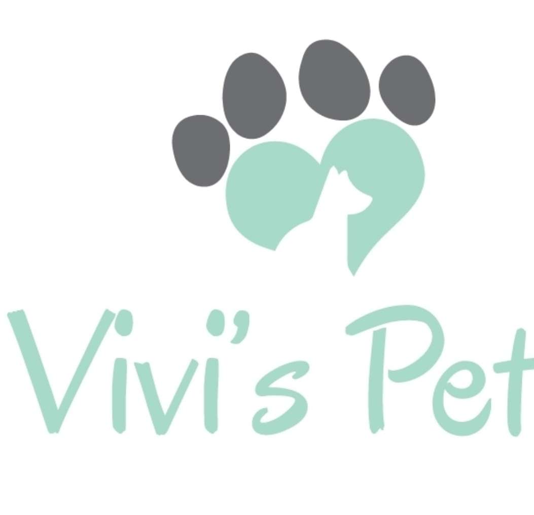 Vivi's Pets - Porto - Cat Sitting