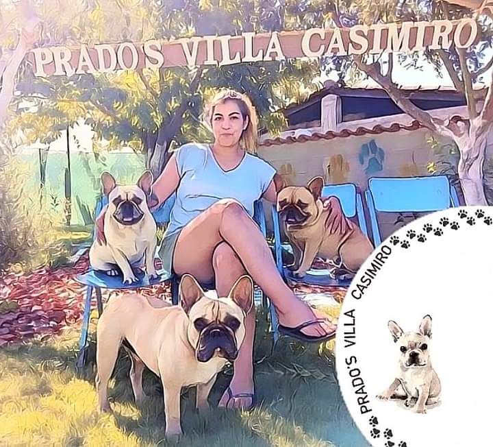 Prado's Villa Casimiro - Vila Real - Hotel para Cães