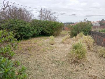 José mario - Maia - Lawn Mowing and Trimming