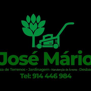 José mario - Maia - Remoção de Tronco de Árvore