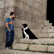 Catarina Dias - Guimarães - Dog Walking
