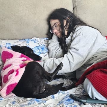 Isabella Moreno - Vila Franca de Xira - Hôtel pour chats