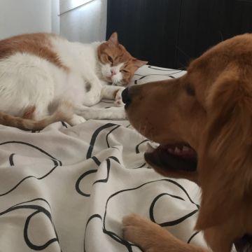 Alejandra - Braga - Fotografia de Eventos