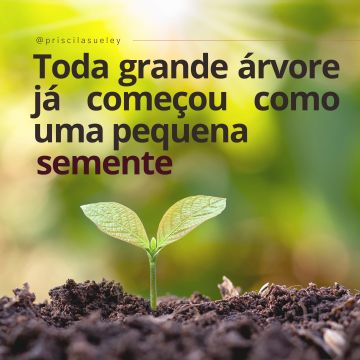 Priscila Sueley Monteiro - Olhão - Coaching de salud y bienestar