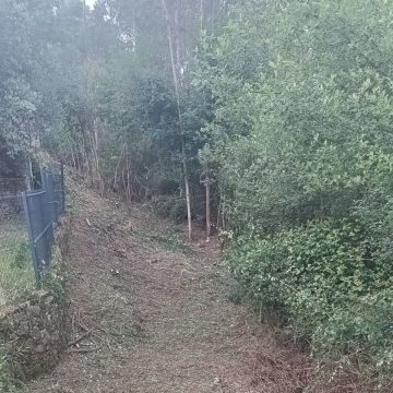 José mario - Maia - Tratamento de Relvado