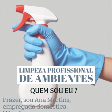Ana Martins - Lisboa - Grundreinigung oder Frühjahrsputz