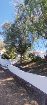 Serviço de Jardinagem - Casa