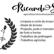 Ricardo Silva - Almada - Tratamento de Relvado