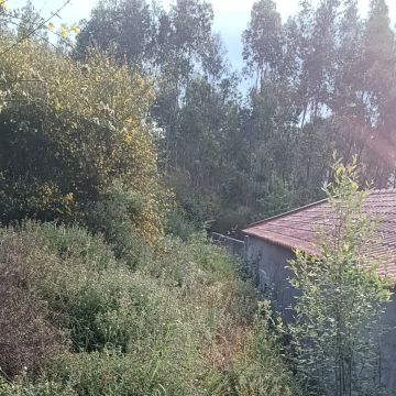 José mario - Maia - Construção de Parede Interior