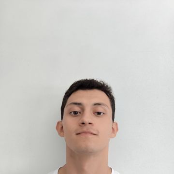 Mateo - Porto - Pet Sitting and Walking
