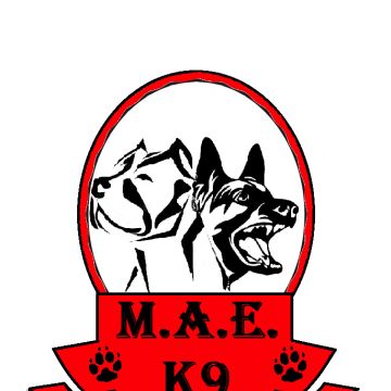 Matilha Alto dos Encantos - Santo Tirso - Pet Sitting and Walking