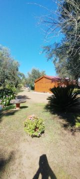 Jardinagem e Relvados