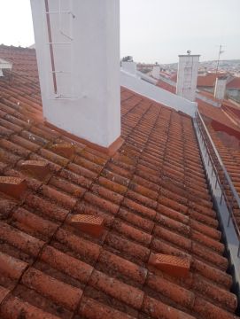 André Souza - Lisboa - Instalação de Alcatifa