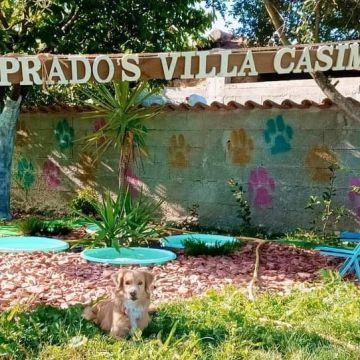 Prado's Villa Casimiro - Vila Real - Creche para Cães