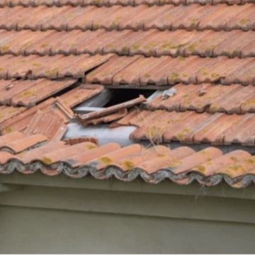Roof shield - Lisboa - Limpeza de Telhado