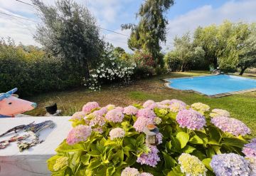Jardinagem e Relvados - Casa