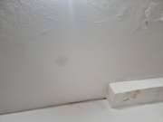 Interior Painter
