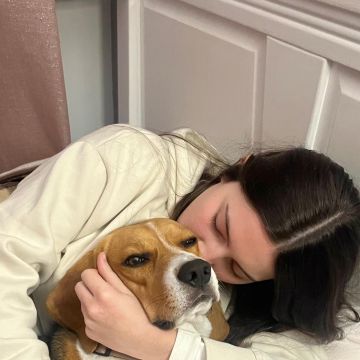 Cuidado Carinhoso para o Seu Patudo – Porto - Porto - Cuidados y paseos de mascotas