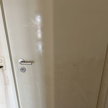 Pronto e Limpo - Valongo - Rug Cleaning