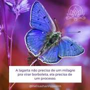 Helisa Shanny Perim - Lisboa - Psychotherapy