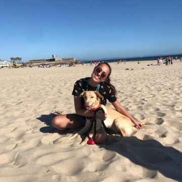 Ana Margarida Moreira - Amadora - Hundeausführung