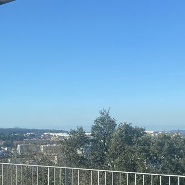 Luísa Mirra - Santo Tirso - Pet Sitting and Walking