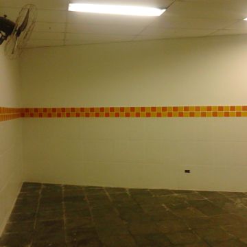 Nilson - Monção - Siding Installation, Repair, or Removal