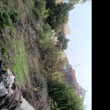 José mario - Maia - Jardinería