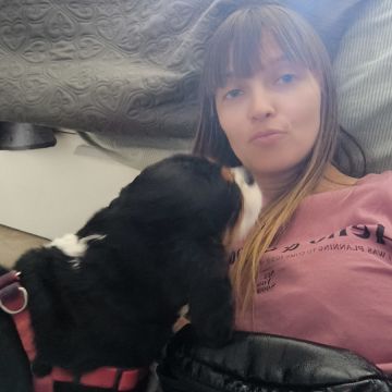 Viktoriia Pet - Loulé - Garderie pour chiens