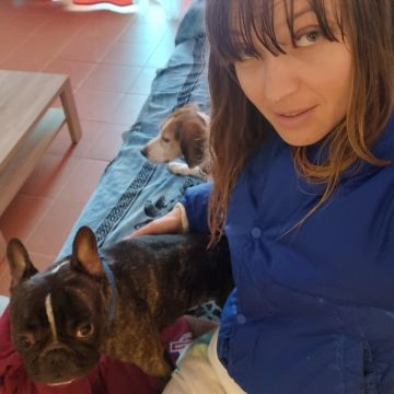 Viktoriia Pet - Loulé - Pension pour chiens