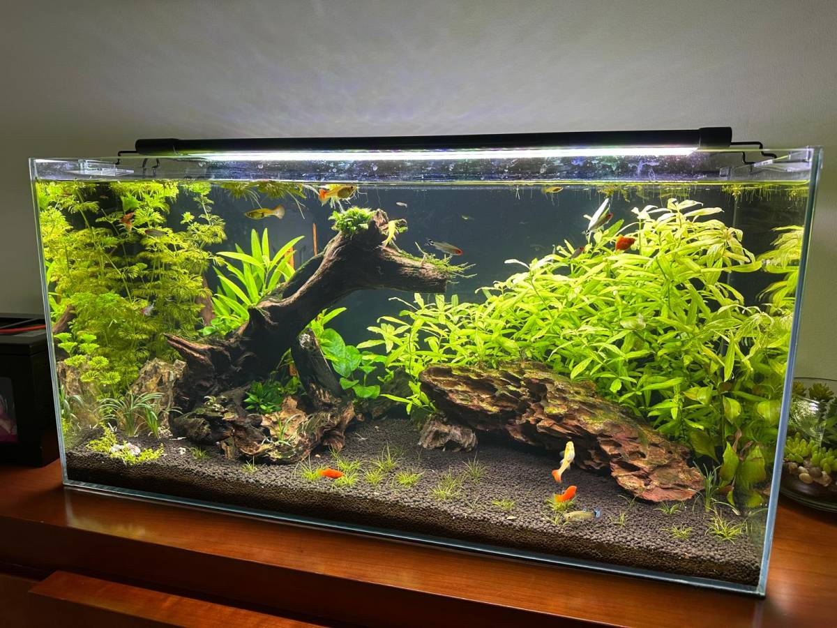Aquacasafixe - Sintra - Crib Assembly