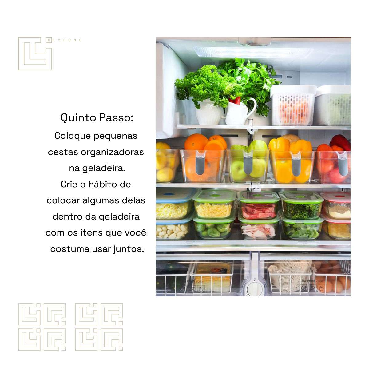 Lauria Teca - Odivelas - Tradução de Inglês