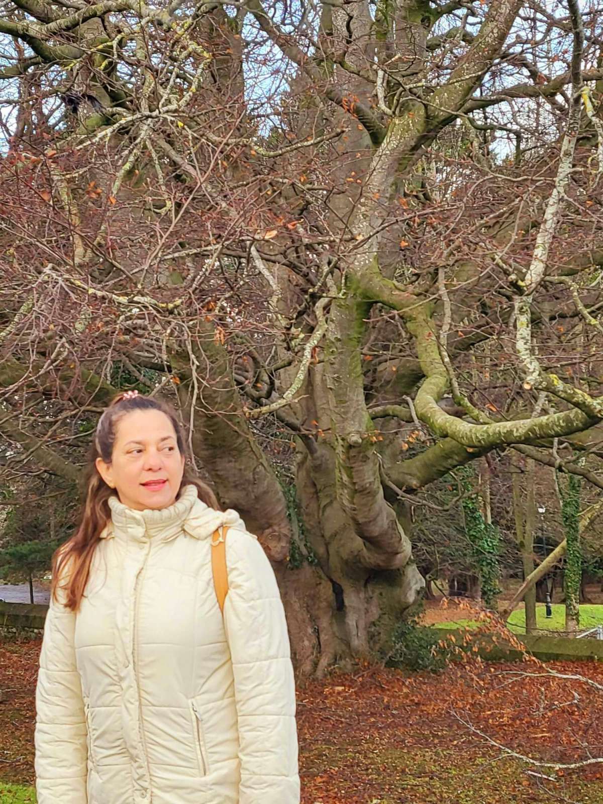 Vera Lúcia Modesto - Lisboa - Haushaltsdienstleistungen