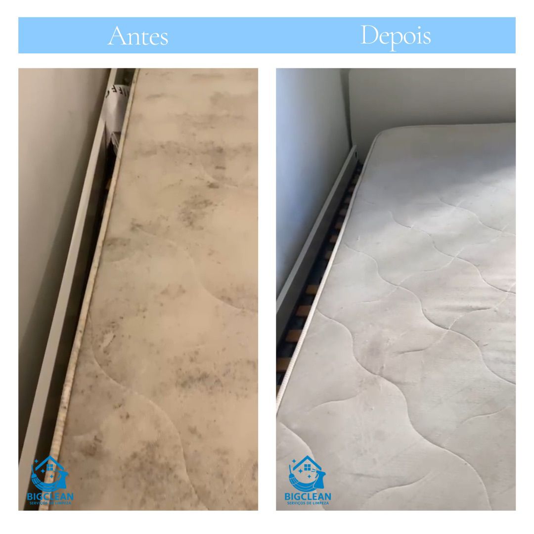 BigClean - Sintra - Schimmelinspektion und -beseitigung