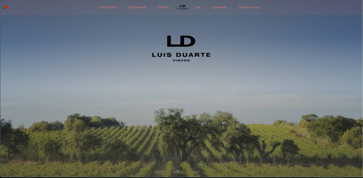 Pedro Inácio - Seixal - Web Design