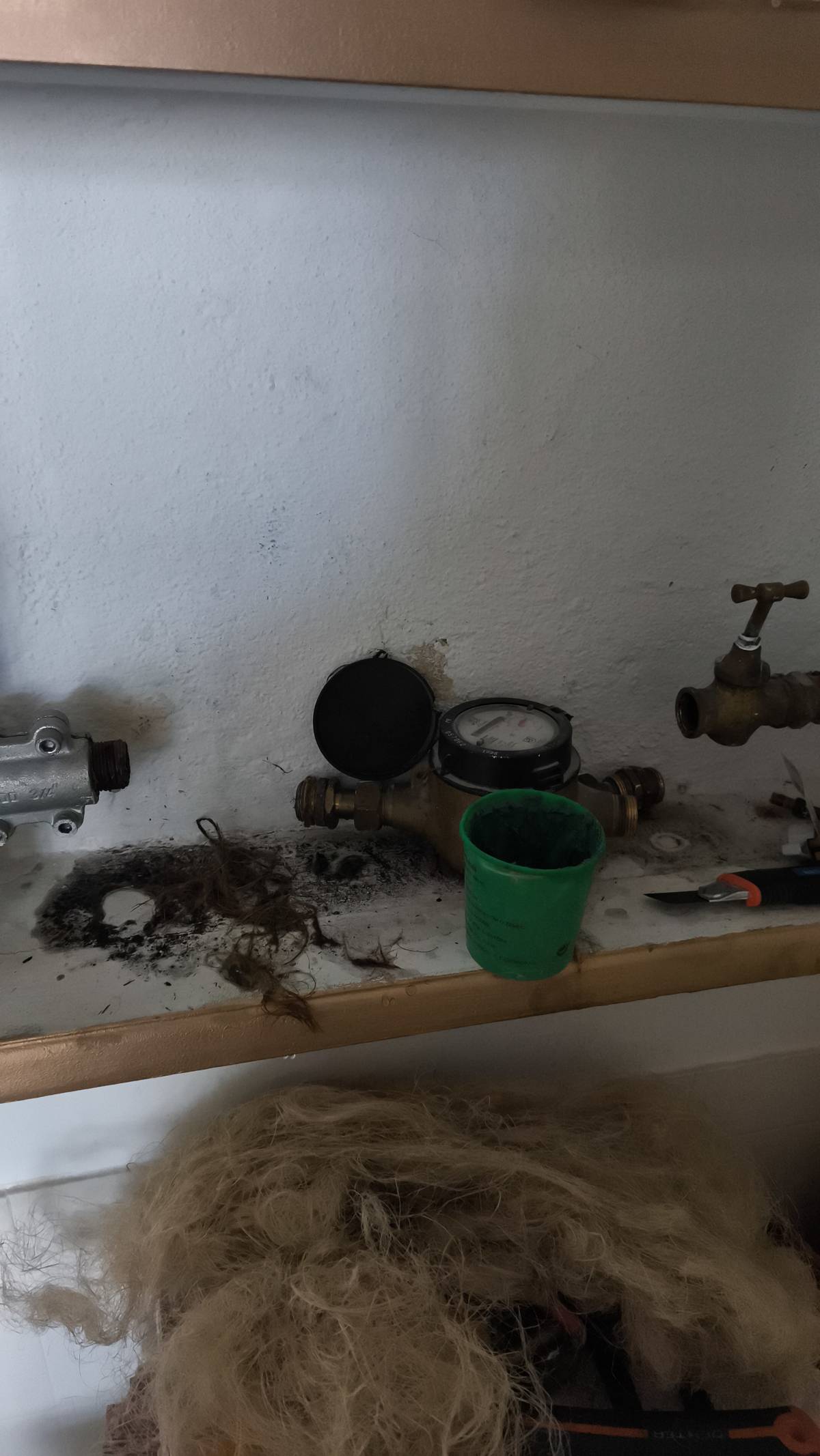 João Esteves - Lisboa - Toilettenreparatur