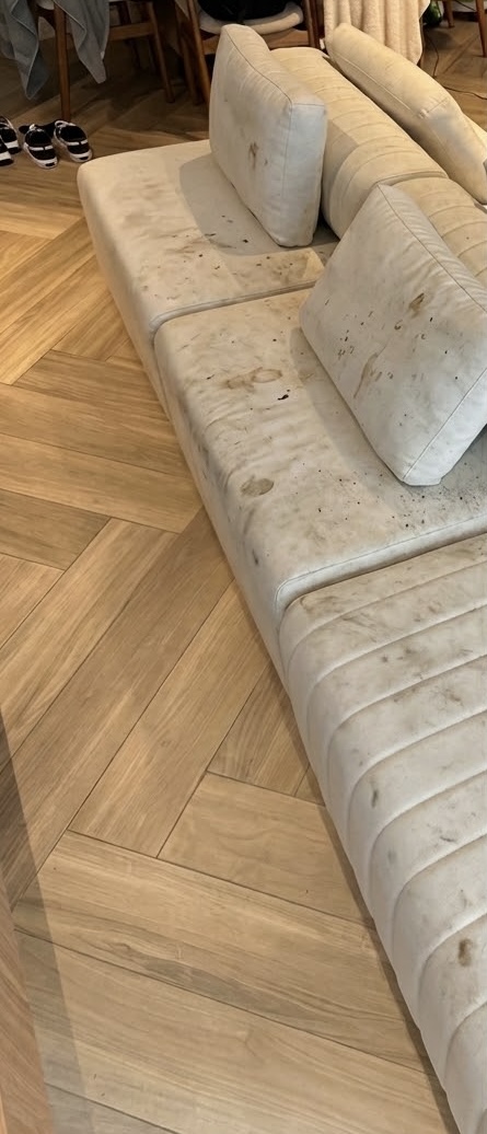 Qivo limpezas - Castelo Branco - Limpeza de Apartamento