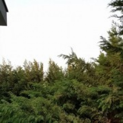 CortaRelva, Construção e manutenção de Espaços Verdes - Setúbal - Seeding