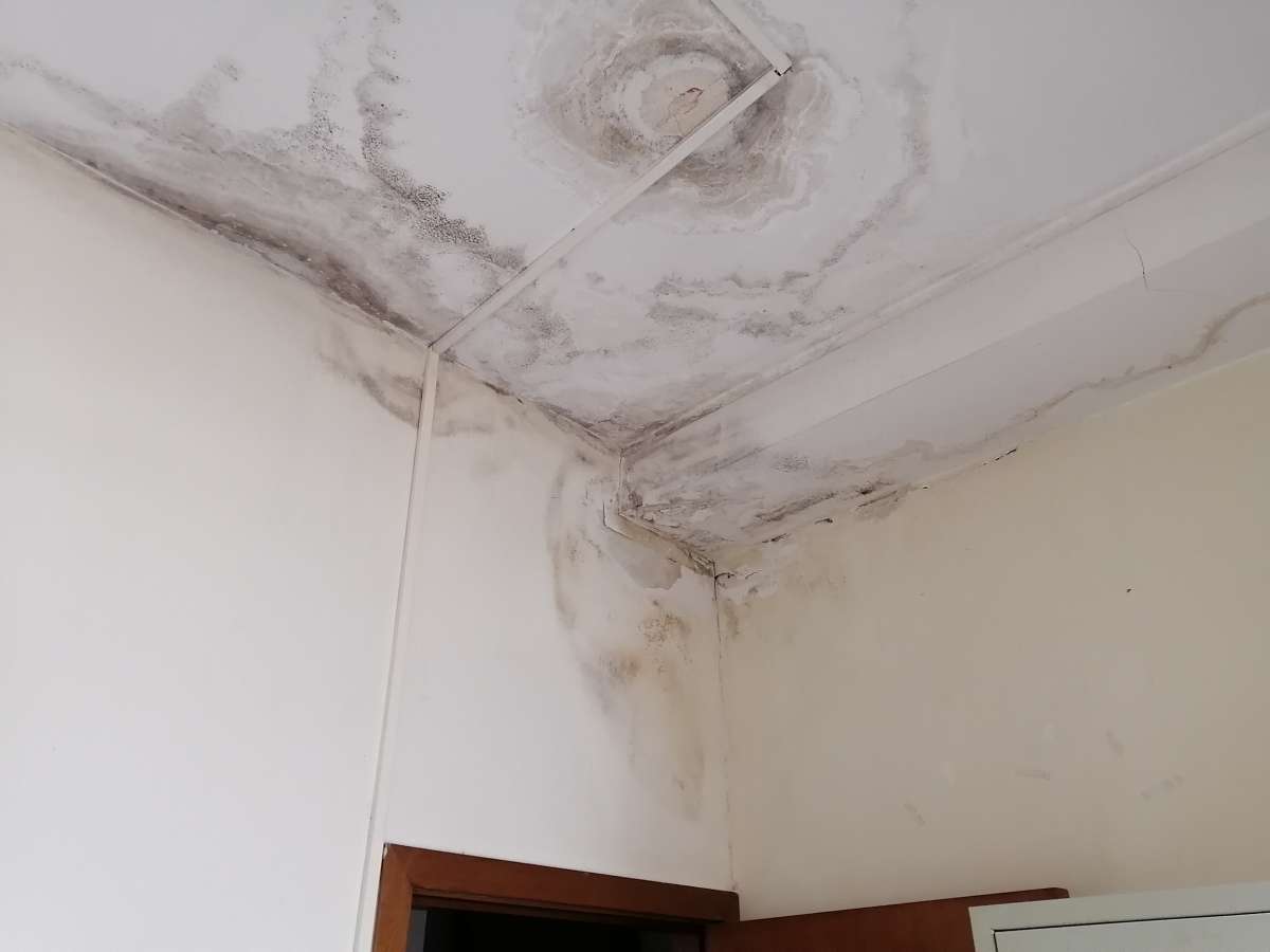 Pintucoor - Porto - Drywall Installation and Hanging