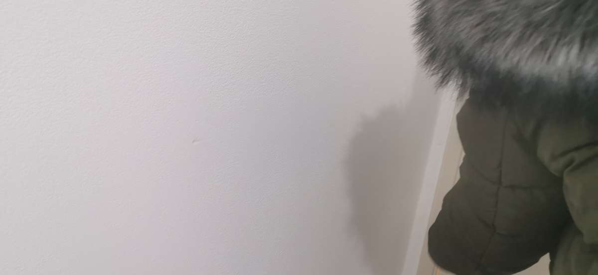 Pintura de Interiores