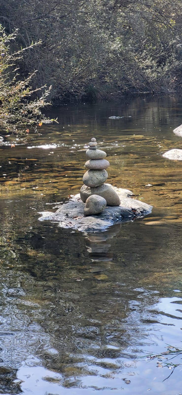 Suspiro da Natureza - Ílhavo - Hypnotherapy