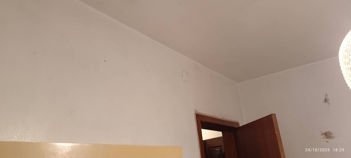 Juliana Carneiro - Limpeza em Lisboa - Odivelas - Limpeza de Propriedade