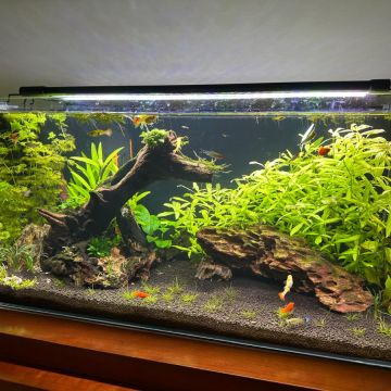 Aquacasafixe - Sintra - Crib Assembly