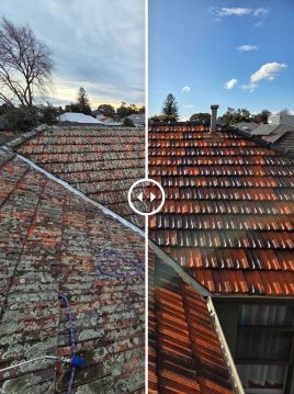 First class cleaning & restoration - Albufeira - Geruchsbeseitigung
