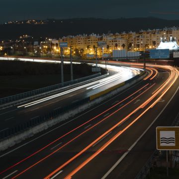 Alexandre Reis - Lisboa - Photographie d'animaux de compagnie