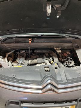 MDO AUTO RAPIDO - Esposende - Car review and diagnosis