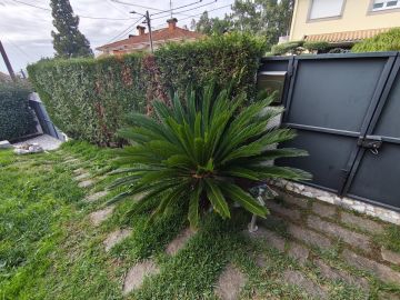 Jardinagem - Jardinagem e Relvados