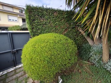 Serviço de Jardinagem - Casa