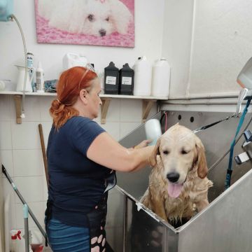 Cristina Guimarães - Gondomar - Dog Walking